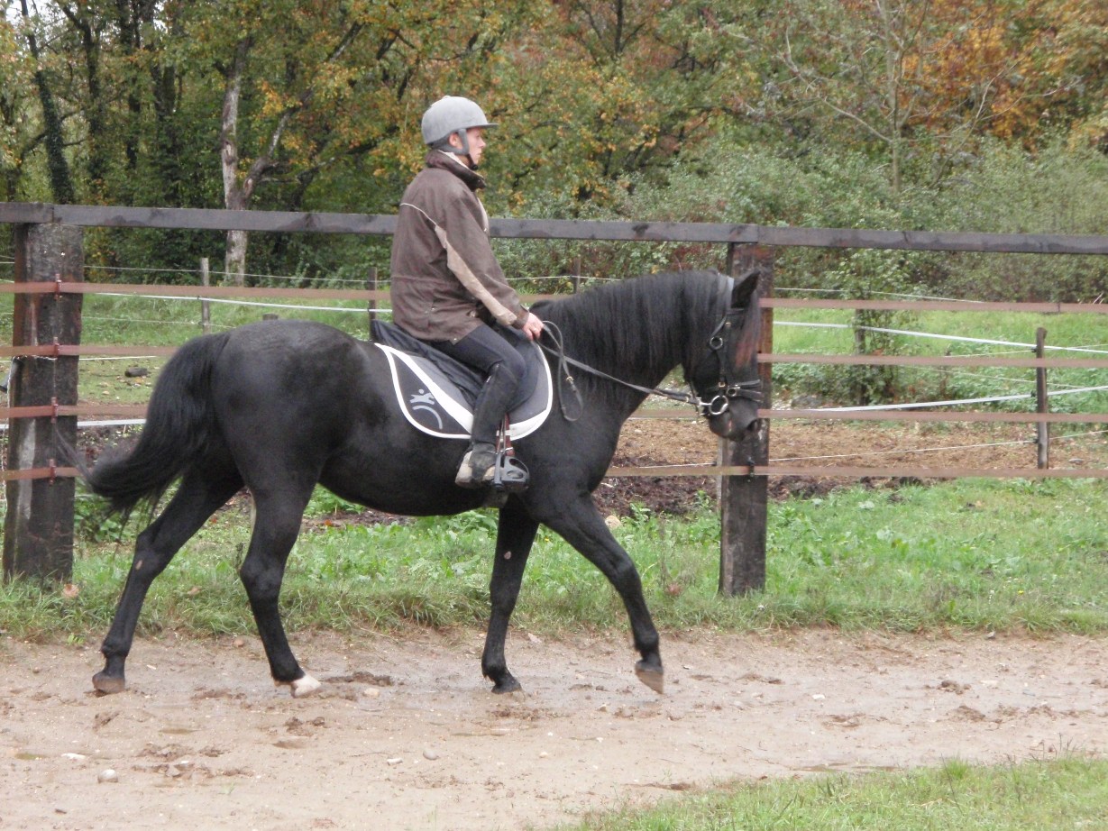 Neptu Jurat, mon petit PRM PA100010