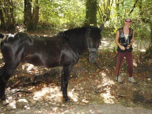 Neptu Jurat, mon petit PRM P8300172-2b393