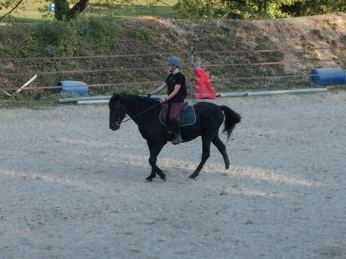 Neptu Jurat, mon petit PRM PA020004-3b252-3f3b0