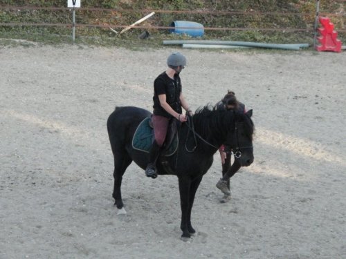 Neptu Jurat, mon petit PRM PA020007-59302