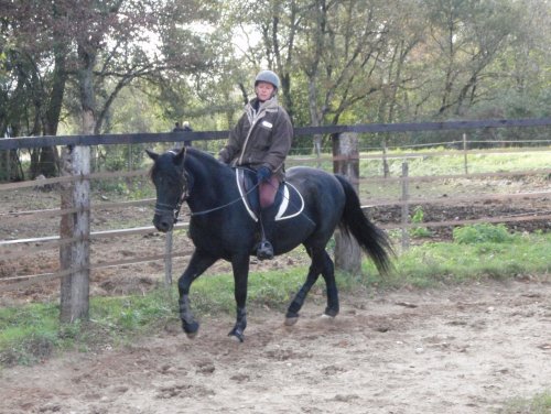 Neptu Jurat, mon petit PRM PA180083-74a1b